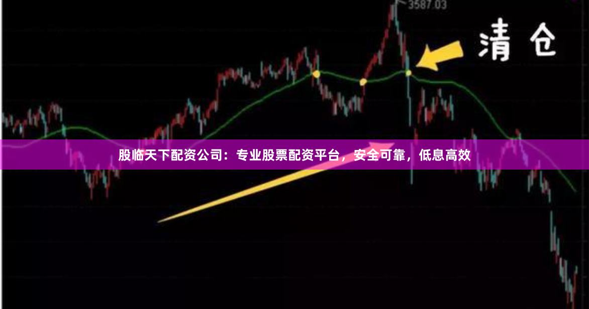 股临天下配资公司：专业股票配资平台，安全可靠，低息高效